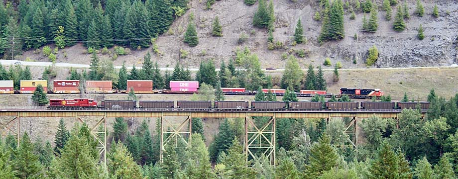 A CN stack train rolls past a CPKC coal train.