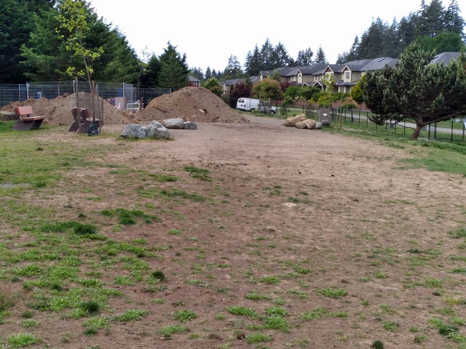 Looking west at the dog park gazebo construction.