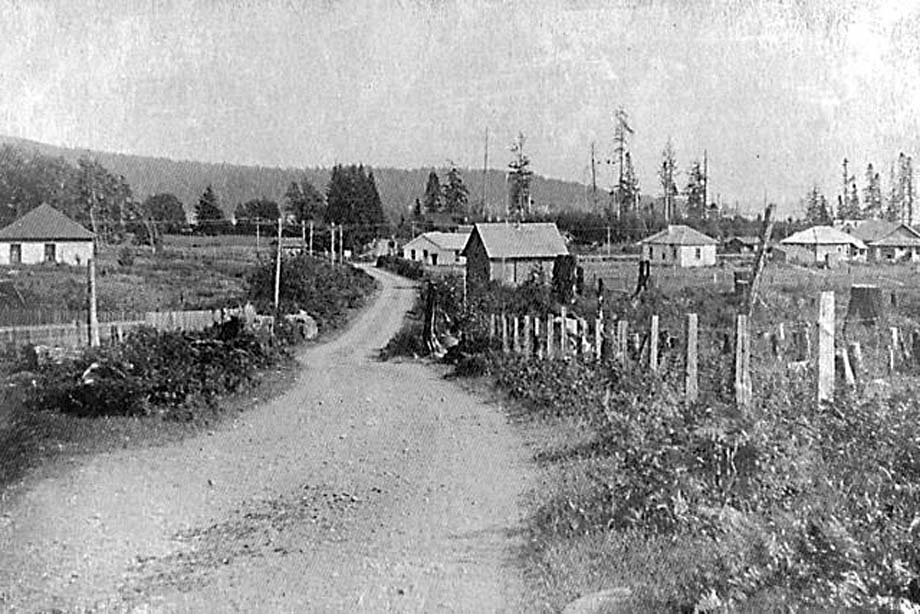 Otter Point Road looking south.