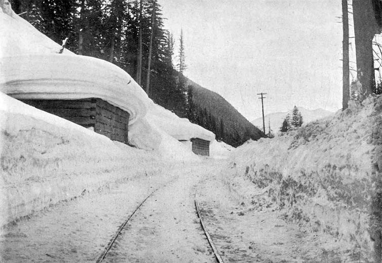 A snow cut showing depth of snow.