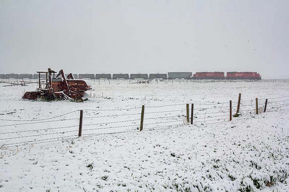 CP Train A44 rolls to a stop near Purple Springs, Alberta.