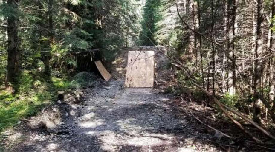 An illegal bike jump in Yoho National Park.