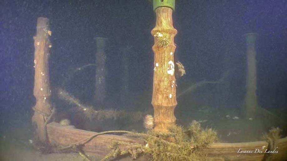 The Empress of Ireland compass platform.