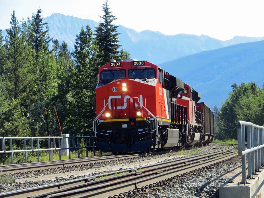 A CN coal train.