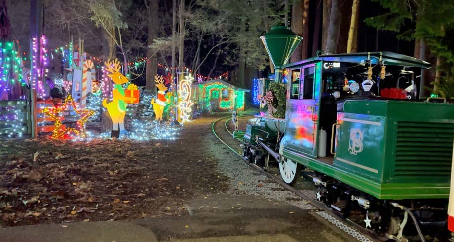 Stanley Park's Christmas train.