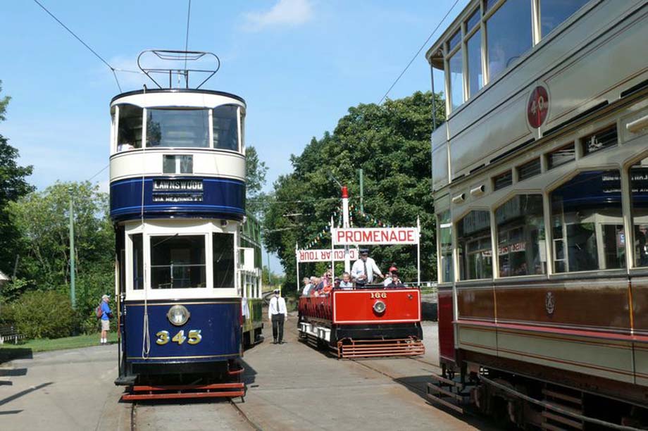 A group of trams near Victoria Park.