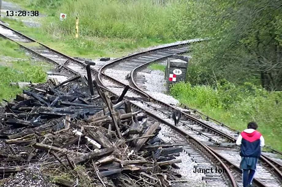 A woman walks her dog along the track at Leek Brook Junction.