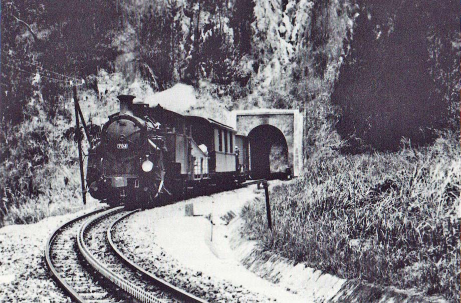 An HG 4/4 engine with a train near a tunnel on the Langbian Cog Railway.