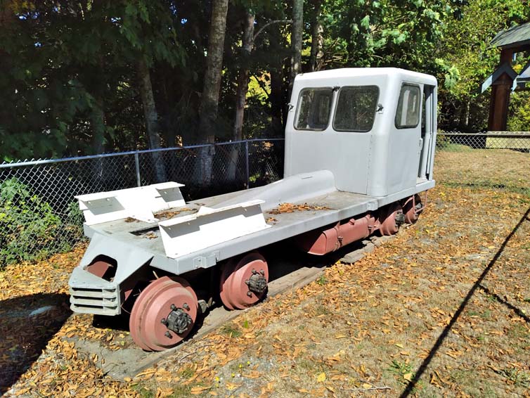 Narrow gauge locomotive.